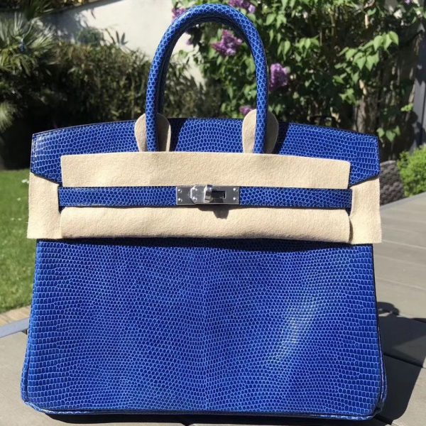 hermes lizard birkin 25