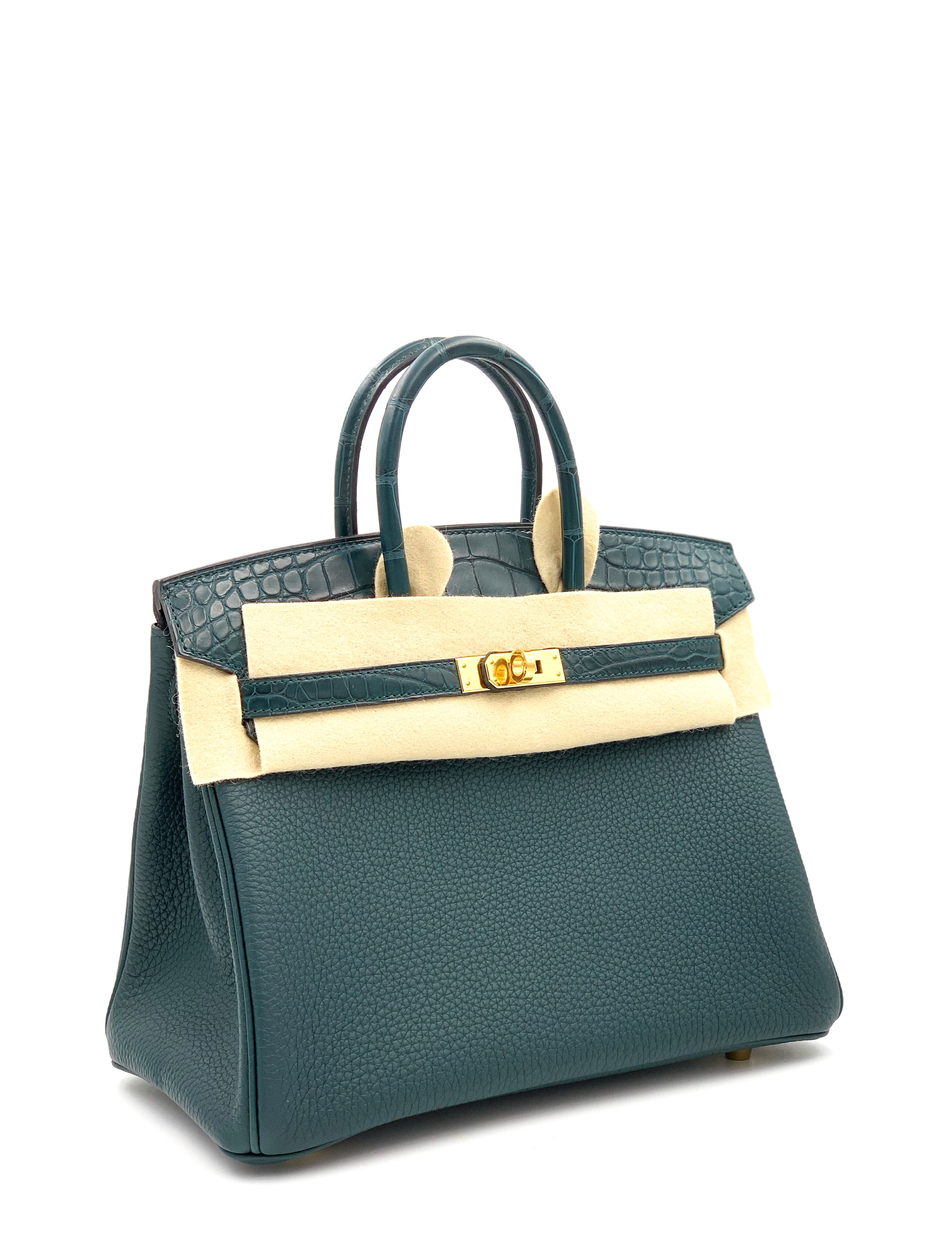 Birkin 2024 touch 25